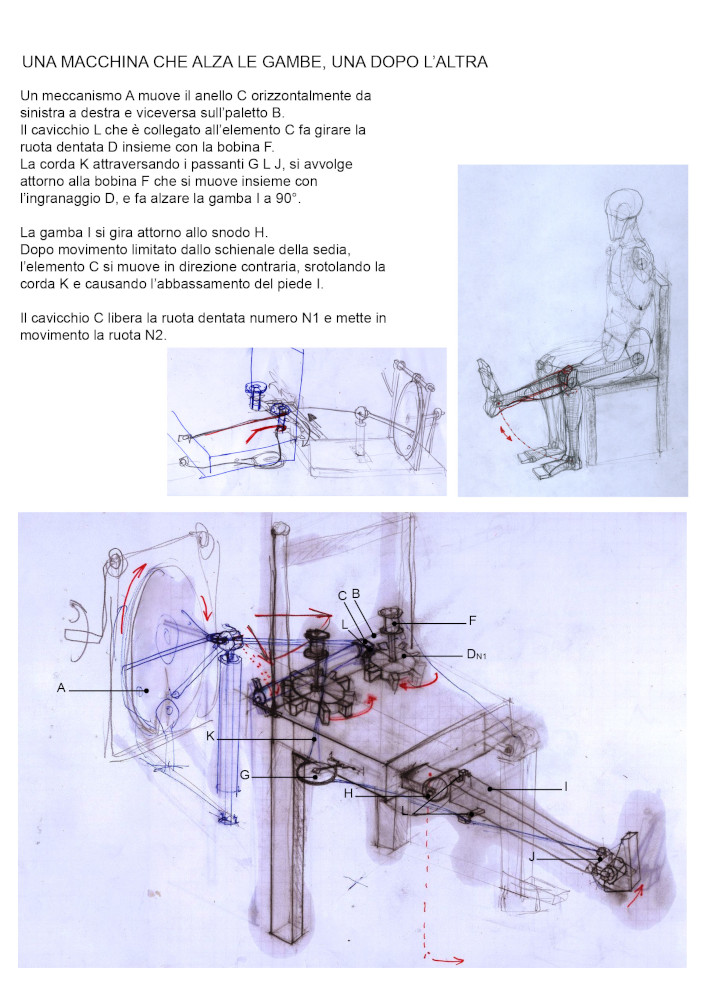 anatomical machines